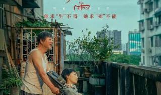 彷徨之刃2024王千源