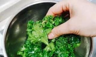 羽衣甘蓝粉减肥有效果吗