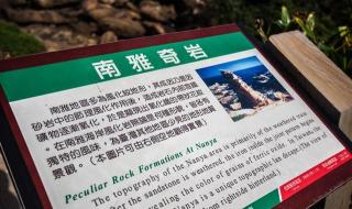 车站的人可真多写一段话
