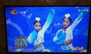 河北少儿频道在线直播