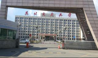 东北师范大学录取分数线2023