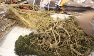 中药材个别品种涨价4至9倍