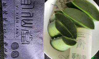 芦荟店加盟品牌大概多少钱