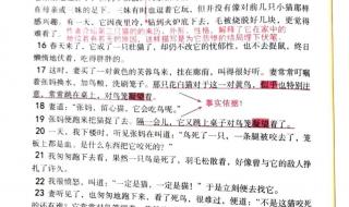 狗猫鼠主要内容概括