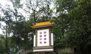 机械工程及其自动化