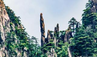 黄山奇石课后题三幅图答案