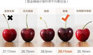 车厘子大小等级标准