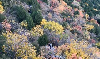北京旅游景区全面取消预约