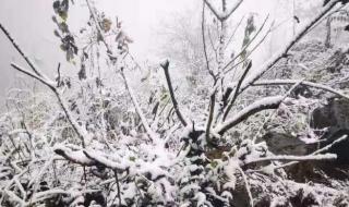 立冬下雪有什么说法