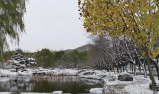 立冬下雪有什么说法
