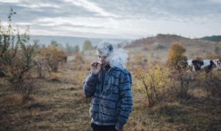 以色列打工一年能挣多少钱
