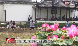 北京旅游景区全面取消预约